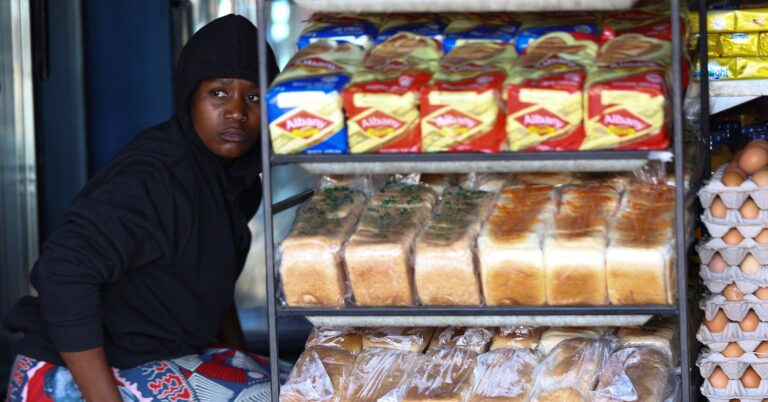 Sub-Saharan Africa's major economies hit by high finance costs, Moody's says